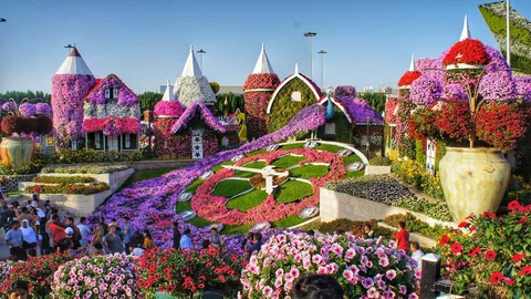 Miracle Garden Miracle Garden
