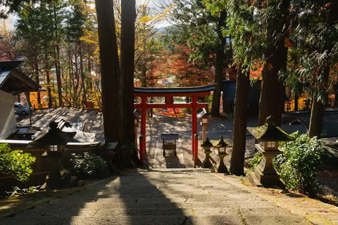 Fushimi Inari Temple Walk, Kyoto | Safari Sutra Holidays Fushimi Inari torii gates at dawn, Kyoto — Japan cultural tour packages | Safari Sutra