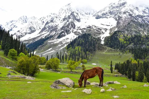 Sonmarg Sonmarg