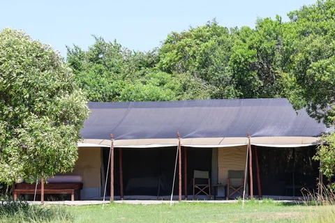 Maasai Mara Luxury Tented Camp | Safari Sutra Holidays Luxury tented camp in the Maasai Mara — handpicked safari accommodation by Safari Sutra Holidays