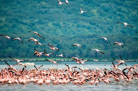 Lake Nakuru National Park Lake Nakuru National Park