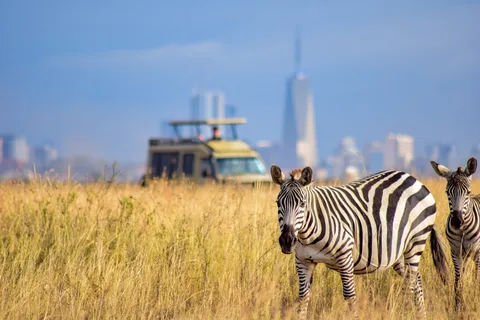 Nairobi National Park Nairobi National Park