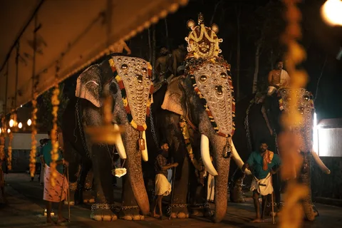 Kerala Elephant Festival | Safari Sutra Holidays Decorated elephant procession at Kerala temple festival — cultural experience in Kerala holiday package