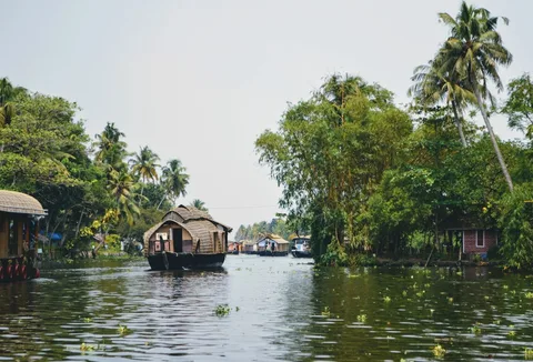 Alleppey Backwaters (Alappuzha) Alleppey Backwaters (Alappuzha)