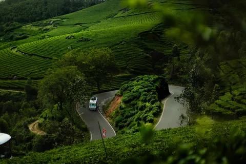 Wayanad Wayanad