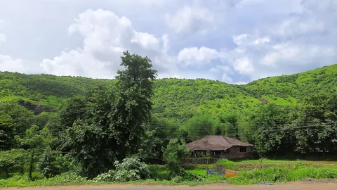 Jungle Lodge near Tiger Reserve, Madhya Pradesh | Safari Sutra Holidays Luxury jungle lodge near Kanha National Park Madhya Pradesh — forest accommodation | Safari Sutra