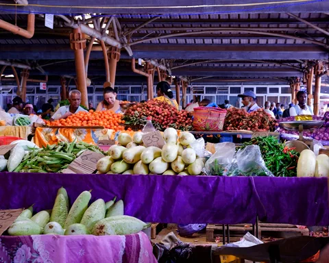 Local Food at Mauritius | Safari Sutra Holidays Dholl puri and Creole street food at Port Louis market Mauritius | Safari Sutra