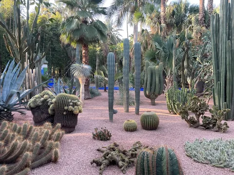 Majorelle Garden, Marrakech Majorelle Garden, Marrakech