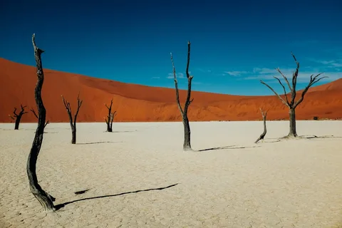 Sossusvlei Sossusvlei