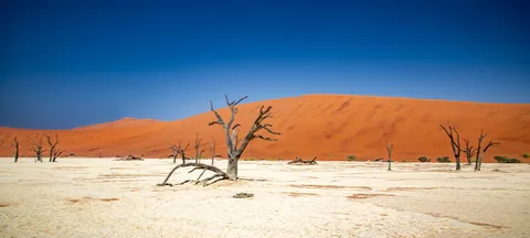 Dead Vlei Dead Vlei