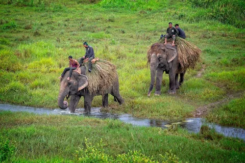 Chitwan National Park Chitwan National Park