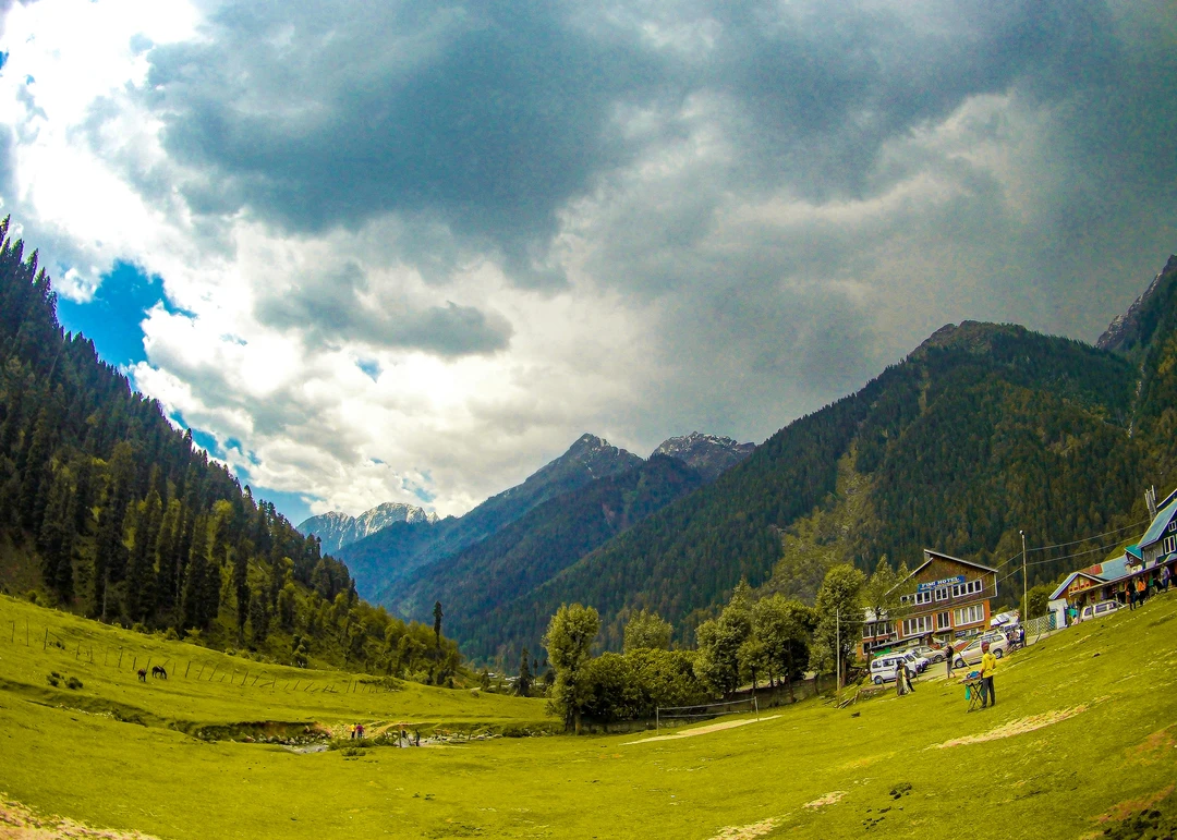 Pahalgam & Aru Valley: Storybook Meadows Pahalgam & Aru Valley: Storybook Meadows