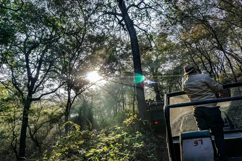 Ranthambore National Park Ranthambore National Park