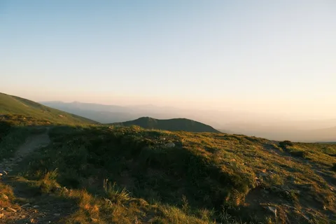 Carpathian Forest Hiking Romania | Safari Sutra Holidays Hiking through Carpathian forests in Romania — wildlife trekking tour from India | Safari Sutra Holidays