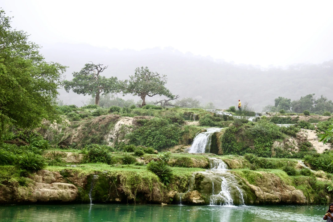 Salalah & Ras Al Jinz – Coastal Wonders Salalah & Ras Al Jinz – Coastal Wonders