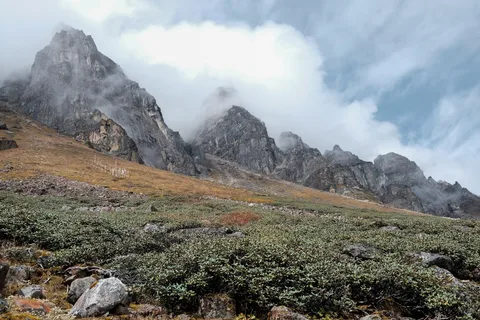 Yumthang Valley Yumthang Valley