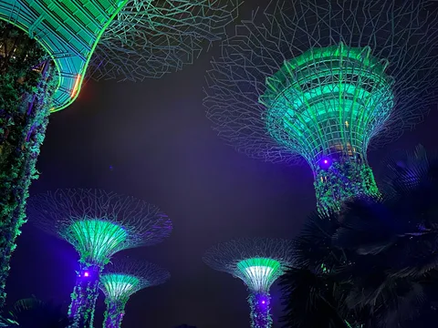 Gardens by the Bay Singapore | Safari Sutra Holidays Gardens by the Bay Supertrees glowing at night — Singapore tour packages for Indian families | Safari Sutra