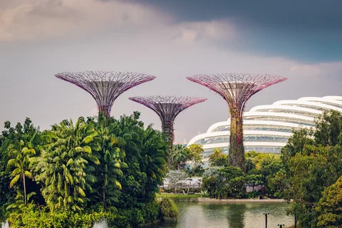 Gardens by the Bay Gardens by the Bay