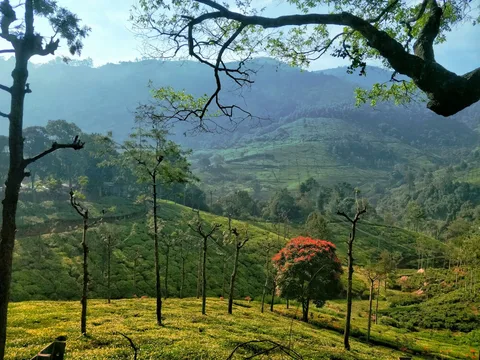 Ooty (Udhagamandalam) Ooty (Udhagamandalam)