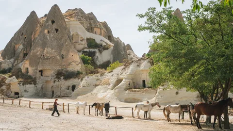 Cappadocia Fairy Chimneys (Göreme National Park) Cappadocia Fairy Chimneys (Göreme National Park)