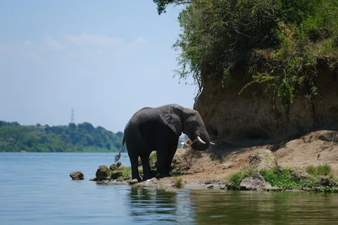 Queen Elizabeth National Park Queen Elizabeth National Park