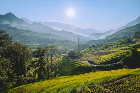 Sapa Rice Terraces Sapa Rice Terraces