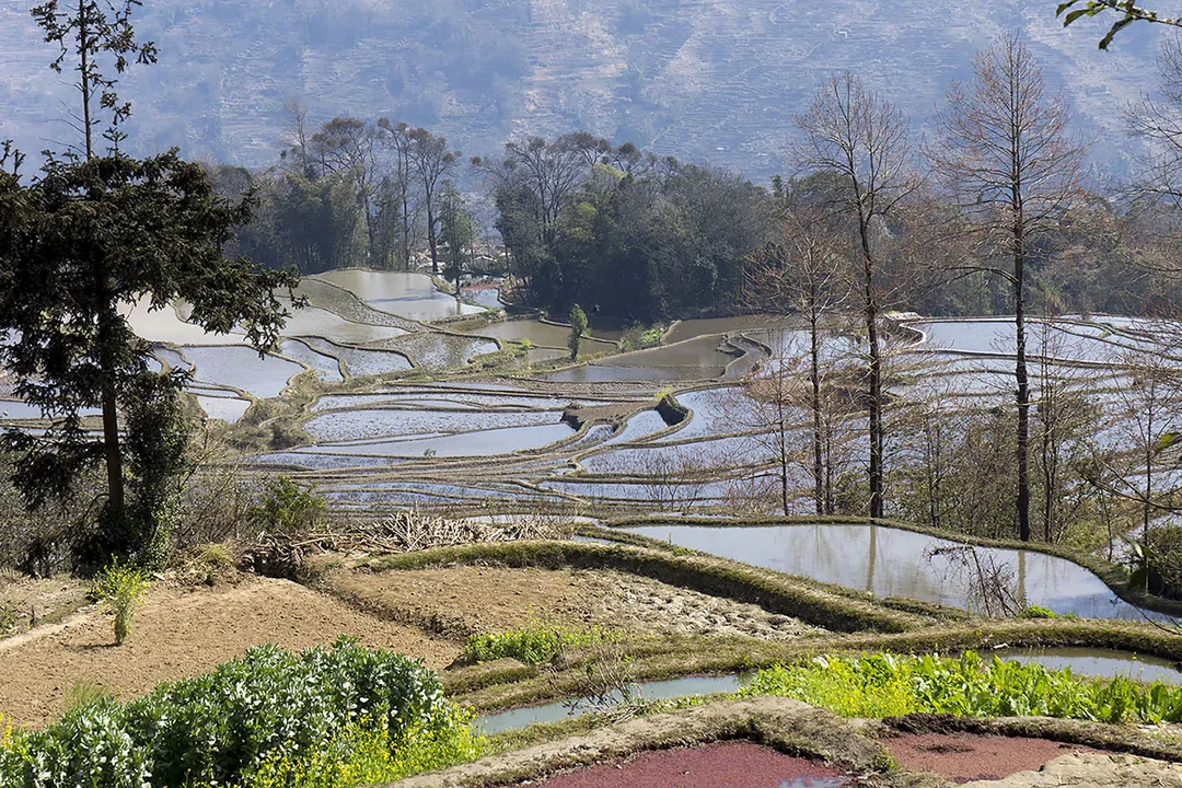 China Photographer's Circuit: Yunnan Highlands, Longji Terraces & Guilin Karsts gallery 01
