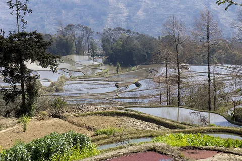 China Photographer's Circuit: Yunnan Highlands, Longji Terraces & Guilin Karsts gallery 01