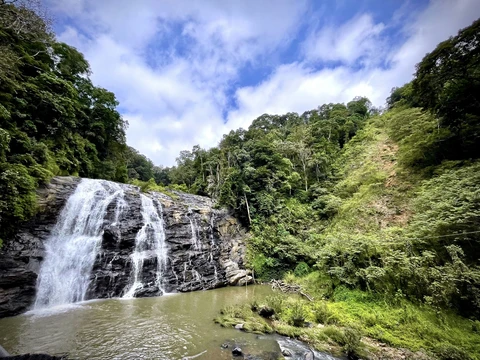 The scenic Abbey Falls cascades down a wide, rocky cliff into a calm pool, surrounded by the lush green forests of Coorg