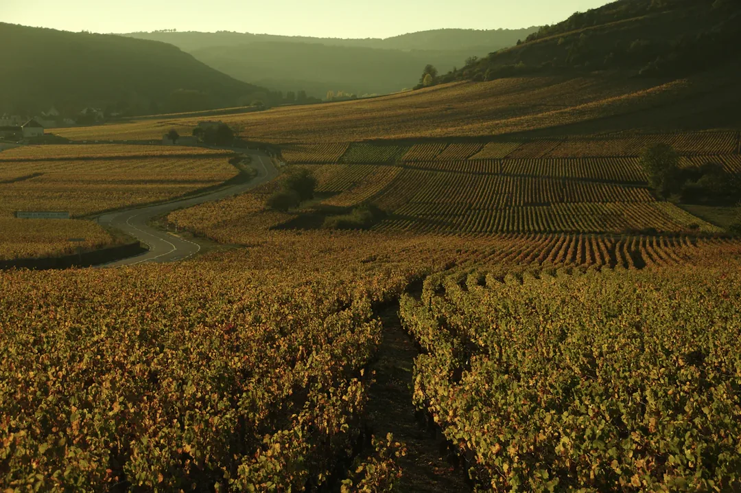 France Unveiled: Paris, Versailles & the Burgundy Countryside gallery 06
