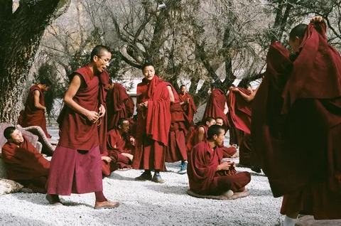 Dharamshala & Dalhousie Honeymoon Escape — Tibetan Lanes, Colonial Ridges & Mountain Mornings - Gallery Image 4 Dharamshala & Dalhousie Honeymoon Escape — Tibetan Lanes, Colonial Ridges & Mountain Mornings gallery 04