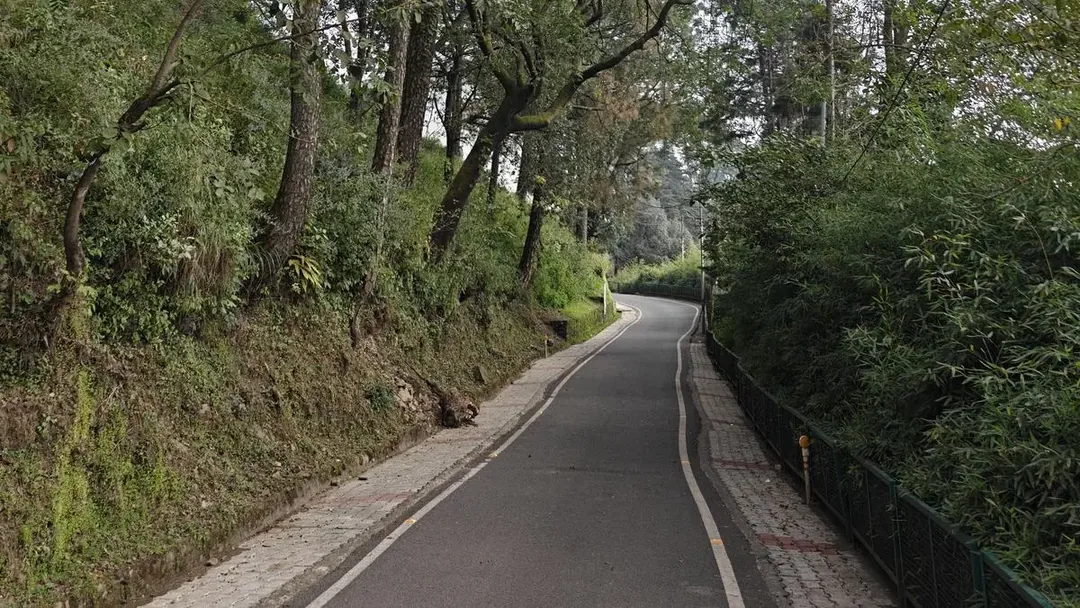Shimla, Chail & Kasauli Easy Escape — Gentle Hills, Pine Air & No Rushing gallery 01