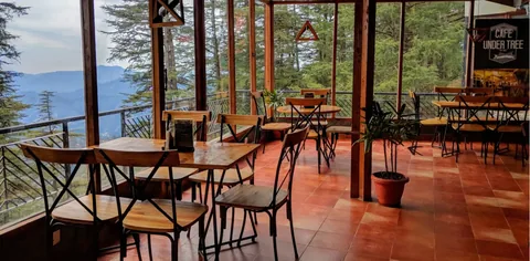 Shimla, Chail & Kasauli Easy Escape — Gentle Hills, Pine Air & No Rushing gallery 03