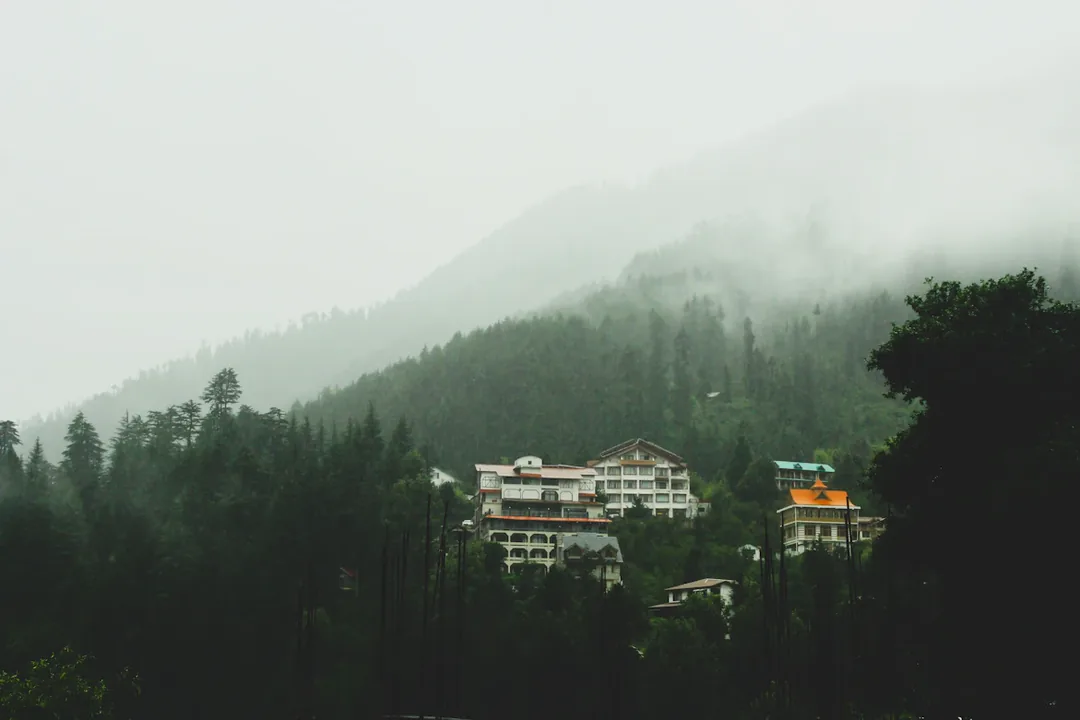 Himachal Family Circuit: Shimla, Kufri & Manali — Snow, Pines & Pure Mountain Air gallery 02