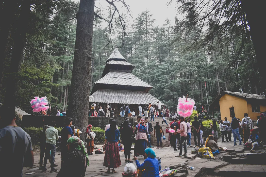 Himachal Family Circuit: Shimla, Kufri & Manali — Snow, Pines & Pure Mountain Air gallery 04