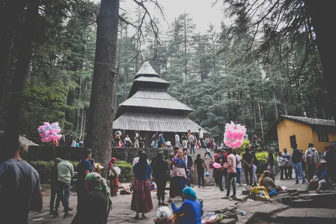 Himachal Family Circuit: Shimla, Kufri & Manali — Snow, Pines & Pure Mountain Air gallery 04