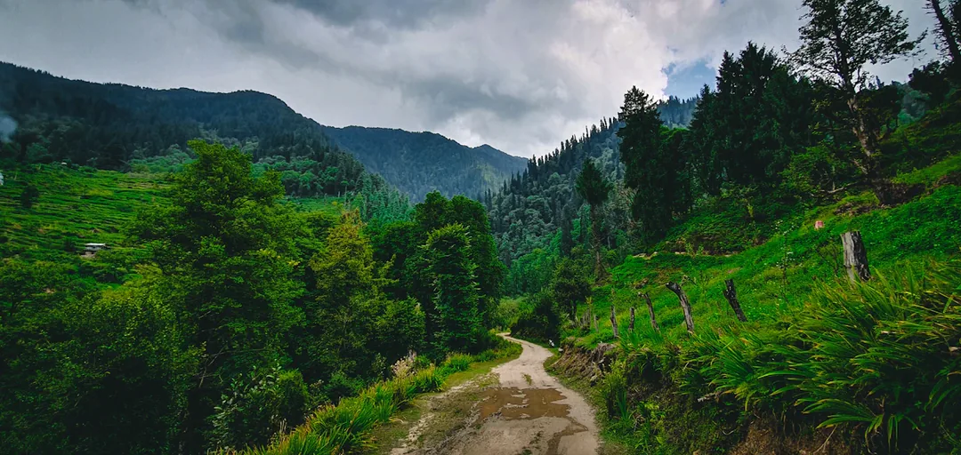 Himachal Family Circuit: Shimla, Kufri & Manali — Snow, Pines & Pure Mountain Air gallery 05