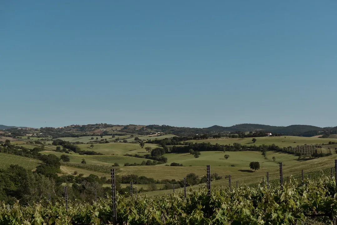 Italy Senior-Friendly Tour: Rome, Orvieto & Tuscany in 5 Nights gallery 06