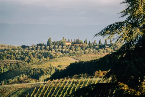 Italy Honeymoon: Amalfi Coast, Rome & Tuscan Hills in 8 Nights gallery 03