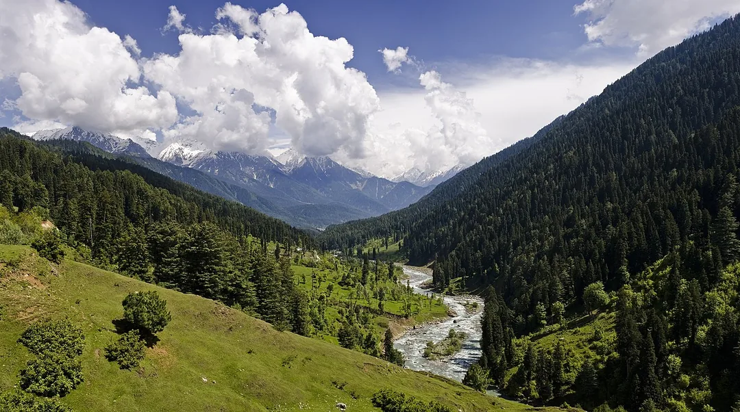 Kashmir Family Escape: Dal Lake Mornings, Gulmarg Meadows & Pahalgam Valleys gallery 06