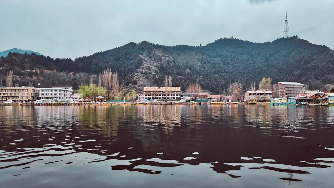 Kashmir in Winter: Snow on the Gondola, Ice on the Lake & Fire in the Kangri gallery 06