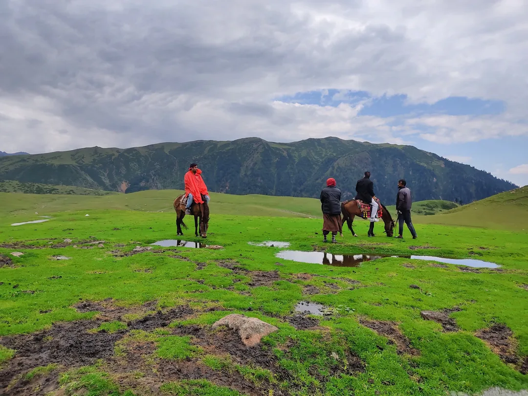 Kashmir Honeymoon: Seven Days Across the Valley's Most Romantic Moods gallery 05