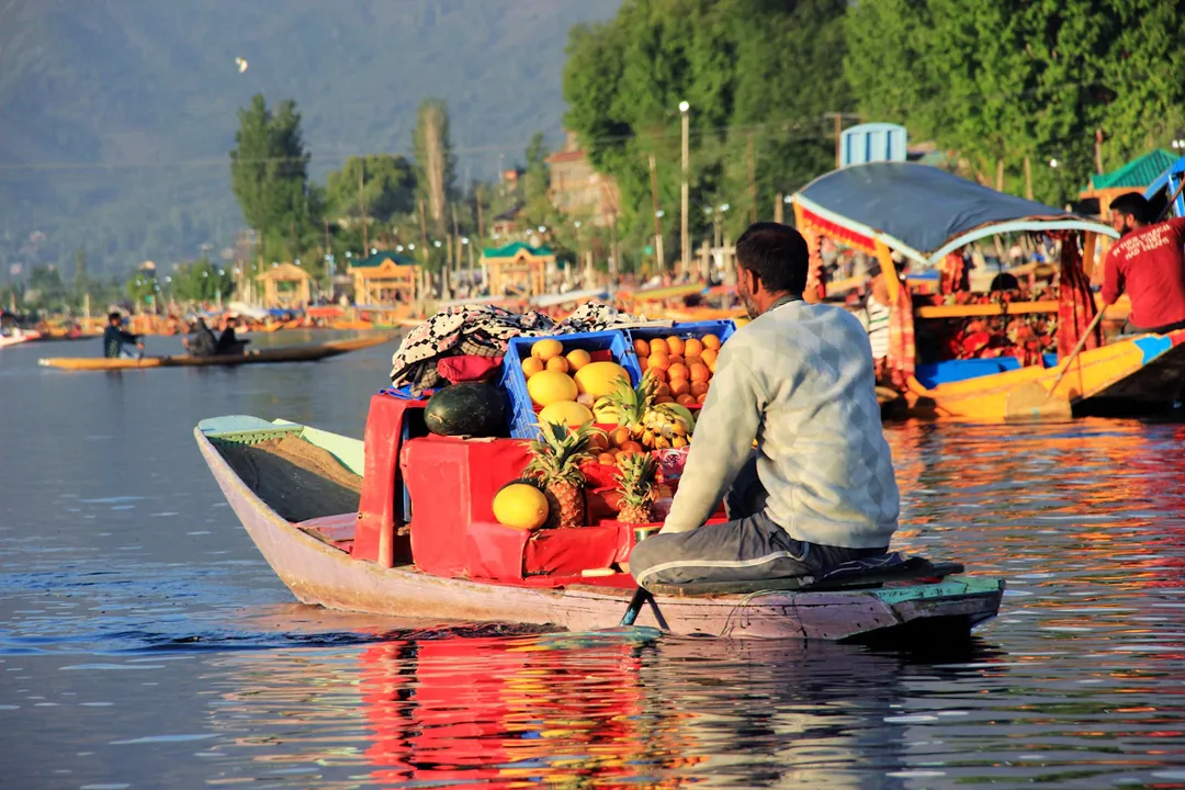 Kashmir Through a Lens: Eight Nights Across Dal Lake, Gurez & the High Meadows gallery 01