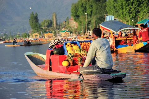 Kashmir Through a Lens: Eight Nights Across Dal Lake, Gurez & the High Meadows gallery 01