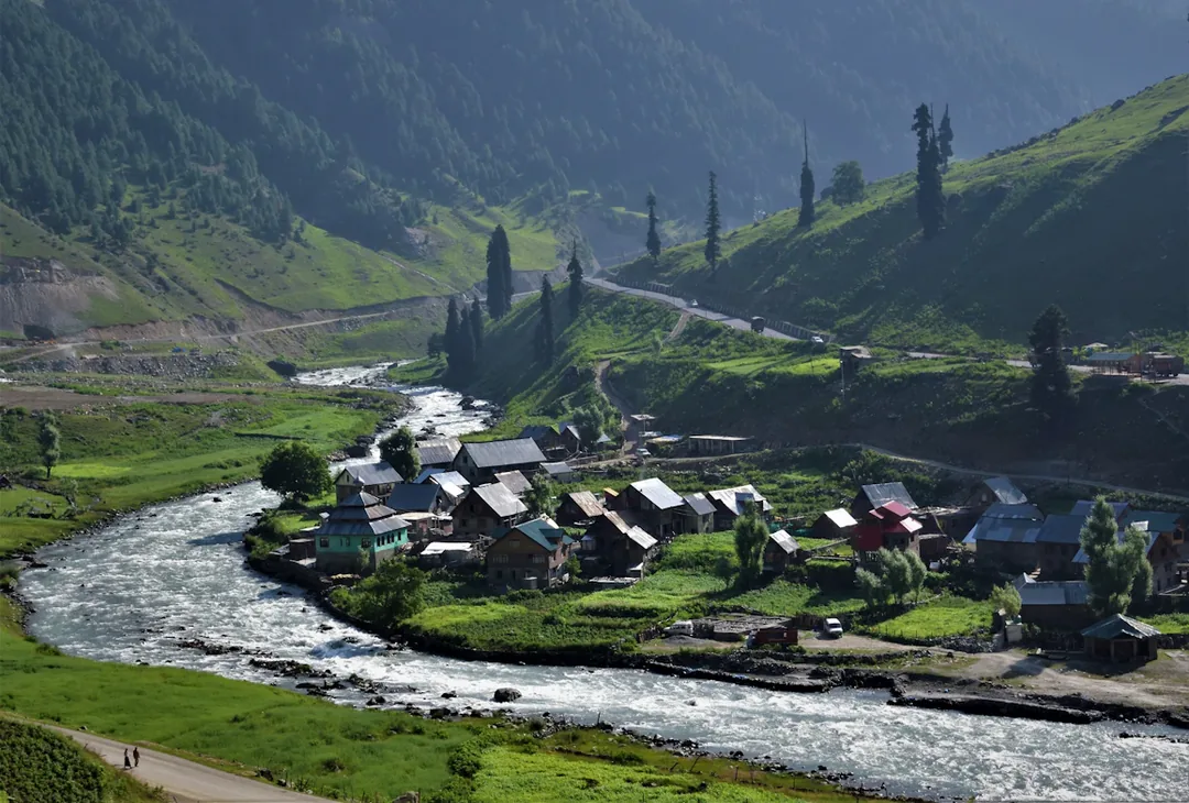 Kashmir Through a Lens: Eight Nights Across Dal Lake, Gurez & the High Meadows gallery 05
