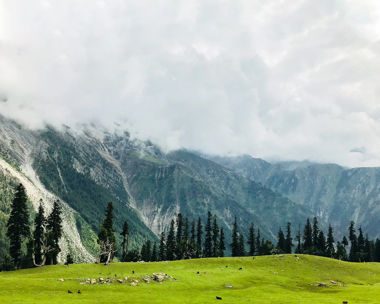 Kashmir valley at dawn with Himalayan peaks and morning fog — photography tour package India