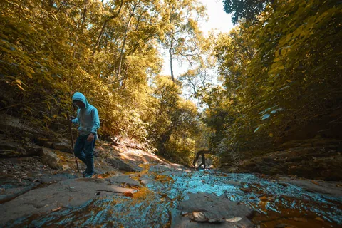 Kerala Monsoon Wellness: Ayurveda, Waterfalls & the Season That Turns Everything Green gallery 01