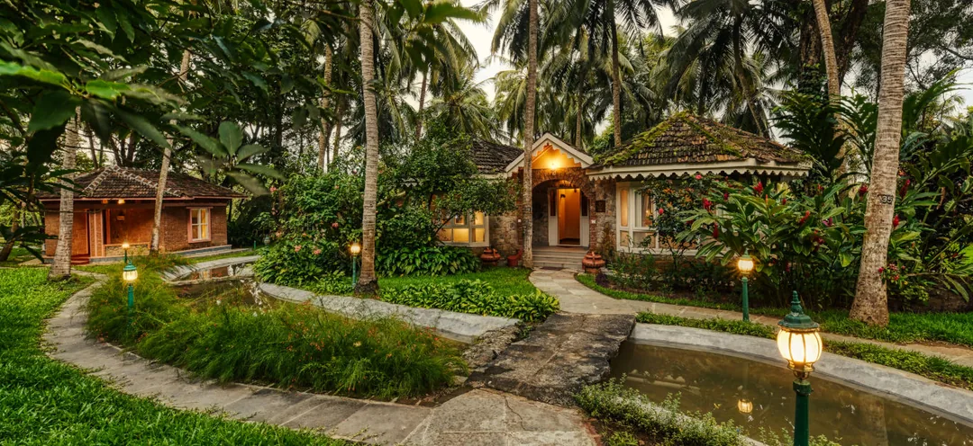 Kerala Monsoon Wellness: Ayurveda, Waterfalls & the Season That Turns Everything Green gallery 02