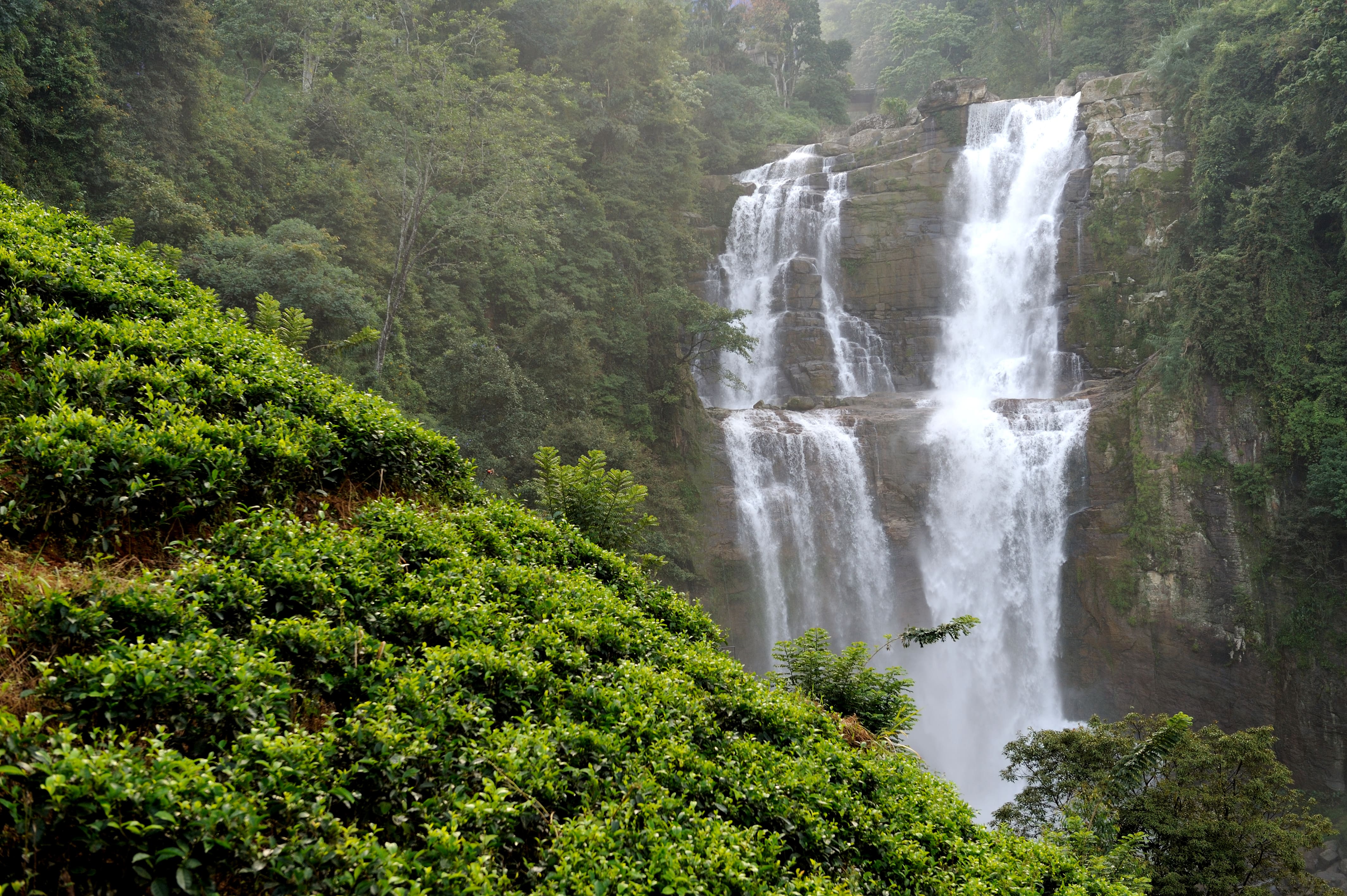 Wayanad waterfall in full monsoon flow against green forest — Kerala monsoon tour package India
