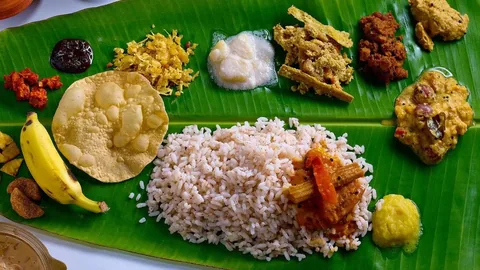 Kerala at Your Pace: A Senior-Friendly Heritage, Lake & Backwater Journey gallery 02